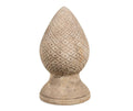 Garden old Karczoch antique chocolate