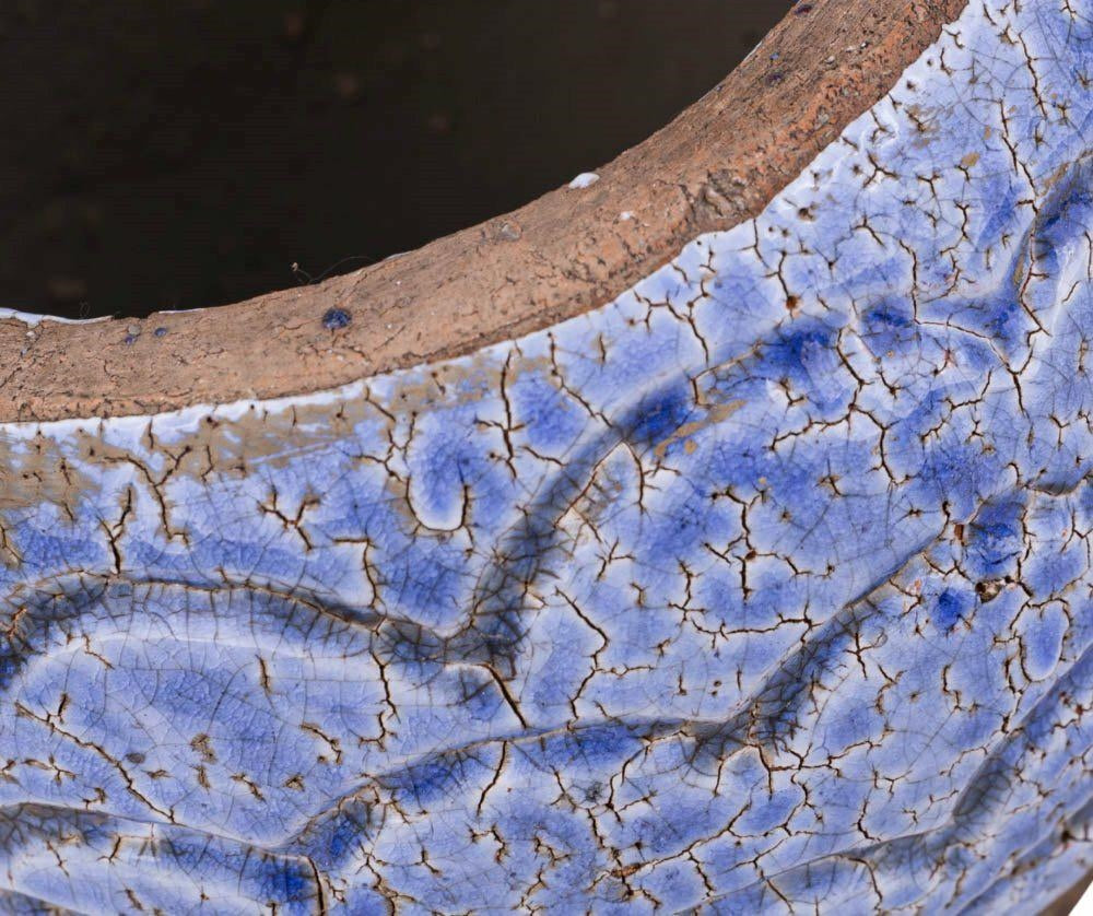 Fiore blue Osłonka pękata łuski A