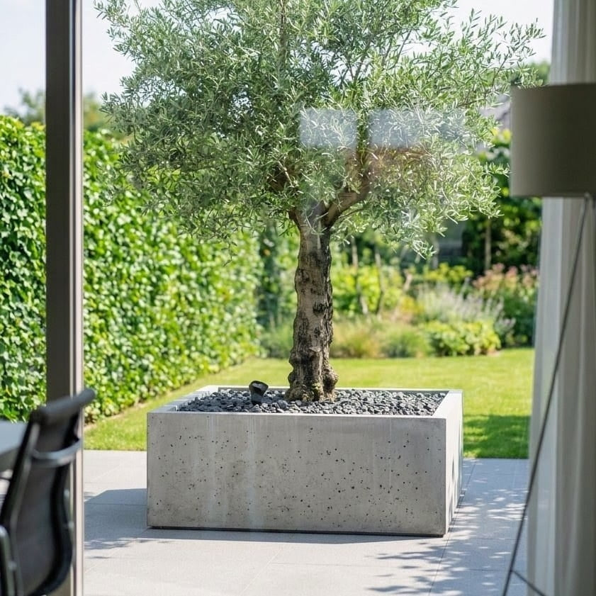Donica betonowa Cubo 150 | 150×150×50 cm | Beton architektoniczny premium