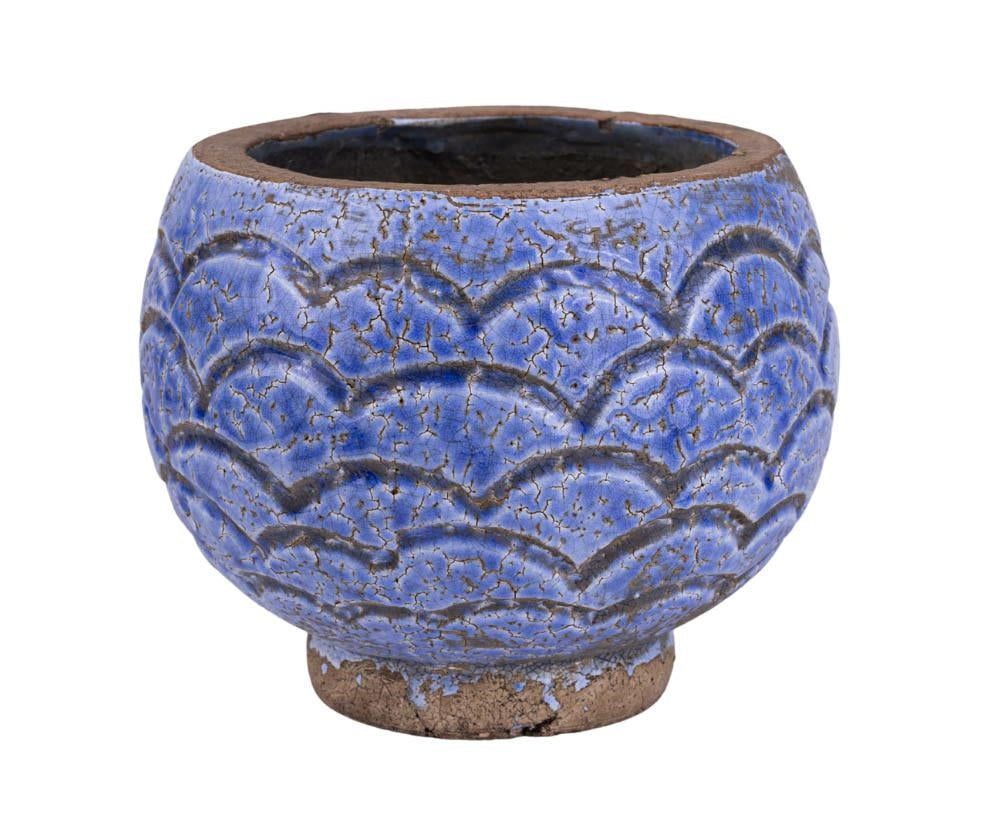 Fiore blue Osłonka pękata łuski A