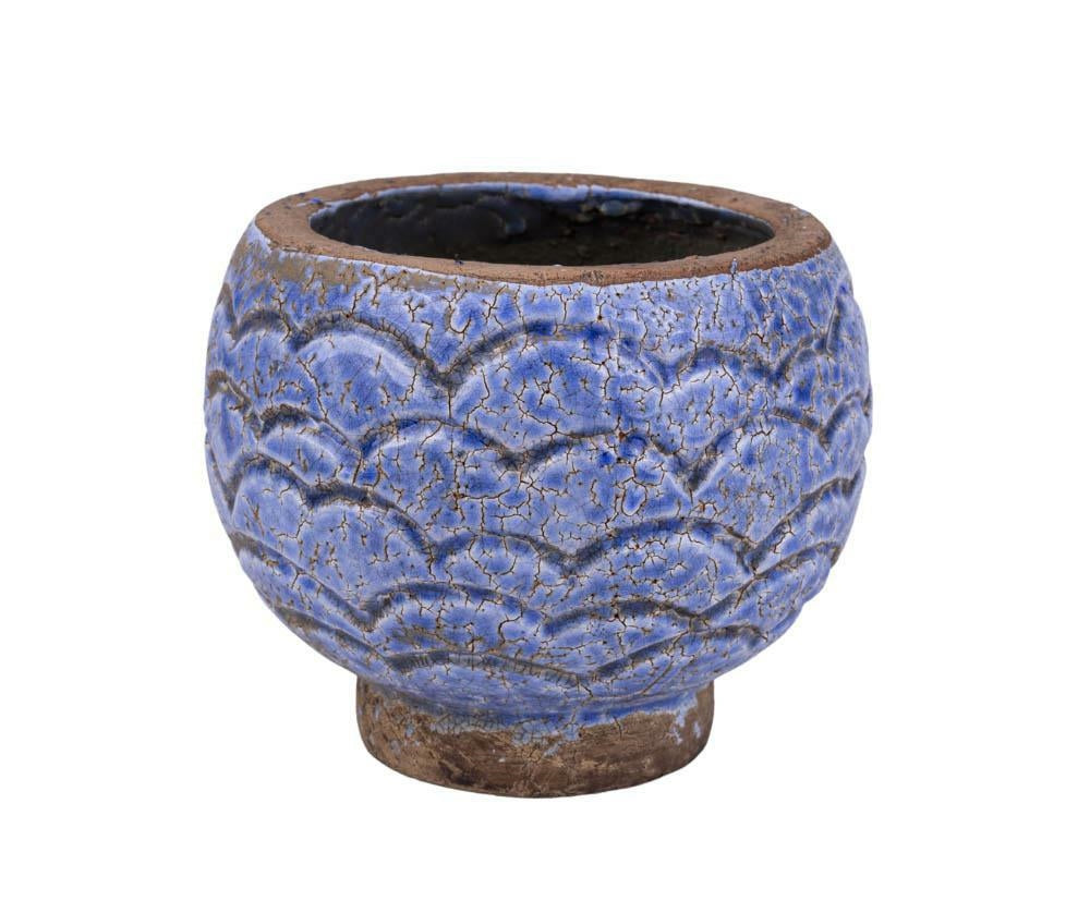 Fiore blue Osłonka pękata łuski B