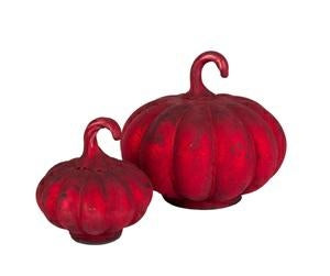 Bosco Dynia Red Velvet B min 6 szt.