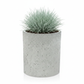 Donica Rondo 45 — Festuca glauca