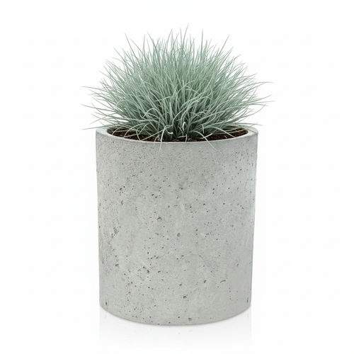 Donica Rondo 45 — Festuca glauca