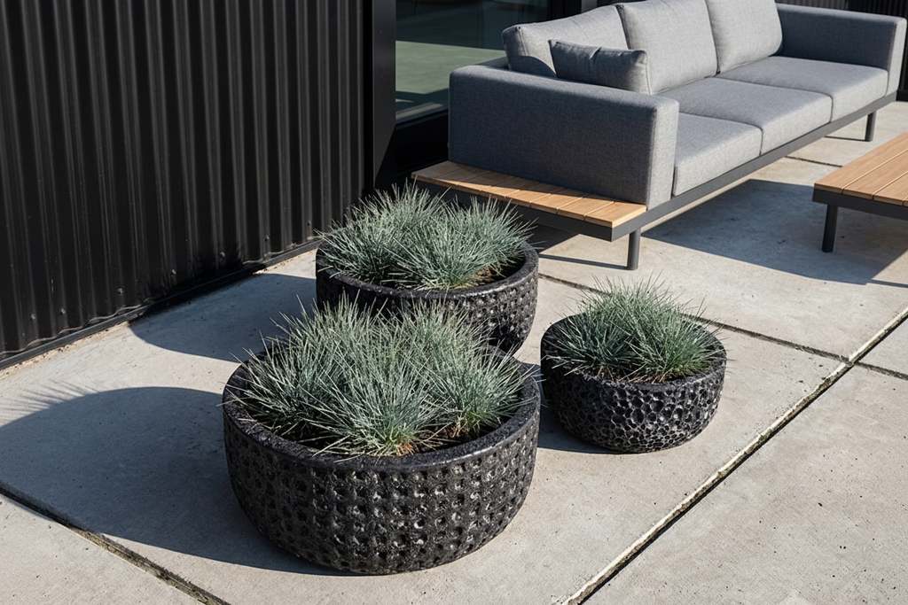 Garden Old Black — bez logo