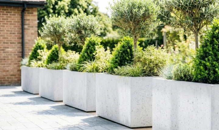 Donica betonowa Forma 100/50 | 100×50×50 cm | Beton architektoniczny premium
