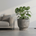 Donica Modern Grey GRC 47 cm w salonie loftowym z monstera