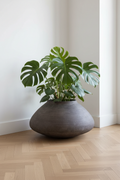 Donica Modern Brown Płaska – lifestyle, salon z monsteraą