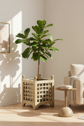 Osłonka Vintage kwadratowa 59,5 cm – lifestyle z figowcem w salonie