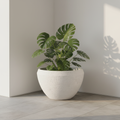 Donica Modern White GRC 55 cm na tarasie z monstera
