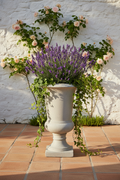 Puchar Grigio 57 cm – lifestyle prowansalski taras, lawenda