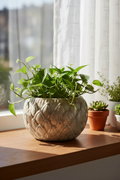 Osłonka ceramiczna Włoskie Niebo Łuski – lifestyle, parapet z rośliną