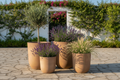 Komplet 4 donic Garden Old Rust Sand – lifestyle śródziemnomorski taras