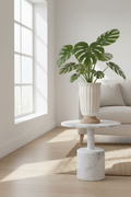 Lifestyle Roma