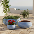 Lifestyle — Ryflowana Blue, poprawione proporcje