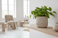Lifestyle Sirocco terakota 18,5cm