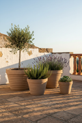 Lifestyle – taras