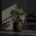 Rustic 33cm – lifestyle