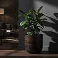 Rustic – lifestyle